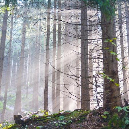 Landgasthof Falken Huttlingen Eksteriør bilde